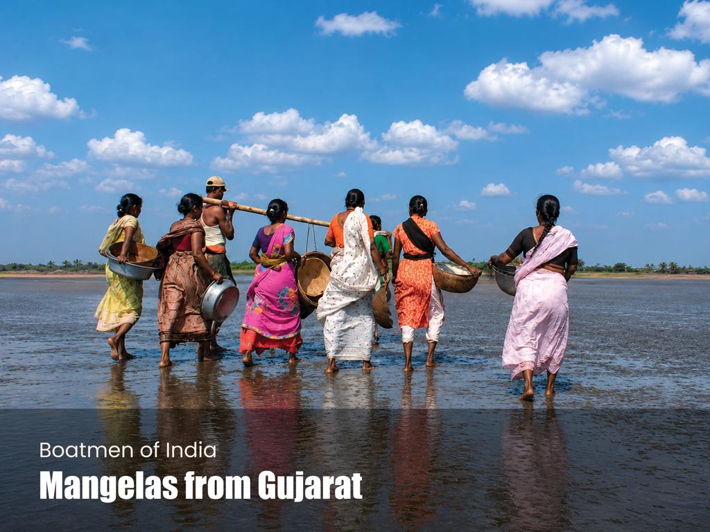 Mangelas from Gujarat